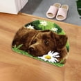 thumbnail image 1 of serony Creative Carpet Latch Hooking Kits 50cm x 36cm Dog Pattern for Home Adults, 1 of 9