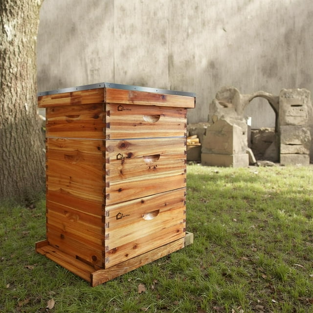 EDTara 10 Frame Bee Hive Kit, Bee Hive Boxes Beeswax Coated Beehive Kit with Beehives Frames and Wax Foundations for Beekeepers (2 Deep Box & 1 Medium Super)