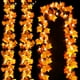 thumbnail image 1 of Guirnalda decorativa de otoño Luditek con hojas de otoño con luces LED de 24.6 pies, 1 of 7