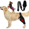 thumbnail image 2 of Dog Elbow Brace, Dog Compression Knee Brace, Elbow and Shoulder Support, Dysplasia, Arthritis, Elbow Calluses, Pressure Sores, Shoulder Dislocation(M), 2 of 7