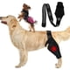 thumbnail image 2 of Codera y Rodillera de Compresión para Perros NQ XL Soporte para Codos y Hombros, 2 of 5