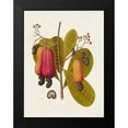 thumbnail image 2 of Unknown 12x14 Black Modern Framed Museum Art Print Titled - Exotic Botanicals I, 2 of 5