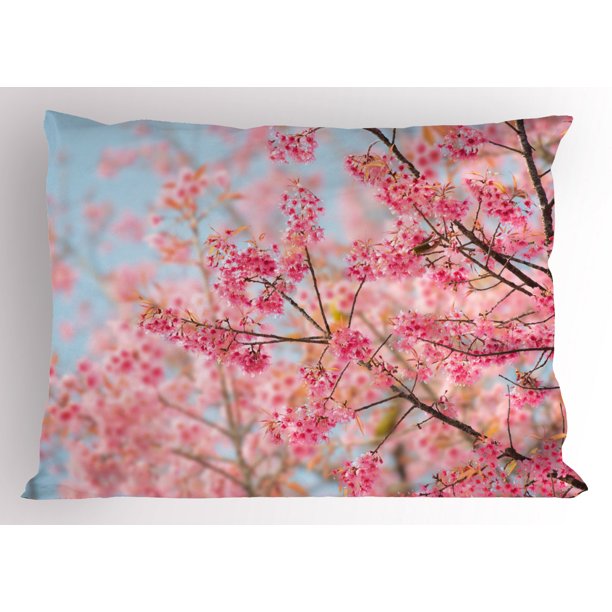 Floral Pillow Sham Japanese Sakura Cherry Blossom Branches Full of Spring Beauty Picture