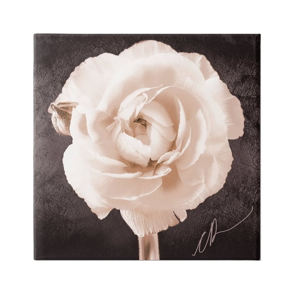 Stupell Industries Vintage Rose Bloom Botanical & Floral Painting Gallery Wrapped Canvas Art Print Wall Art, 17 x 17
