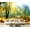 Color4, variant on Peel and Stick Wallpaper Autumn trees multicolored leaves view to lake Sunlight from maple Modern Art Wall Mural Decor Self Adhesive and Removable 69in x 98in