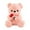 Pink, variant on Sunshinehomely Bear Stuffed Animal Plush Toy, Christmas Plush Stuffed Animal Bear with Rose, Cute Bear Stuffed Animal Valentines Day Decor Christmas Valentine's Day Gifts for Girlfriend Boyfriend