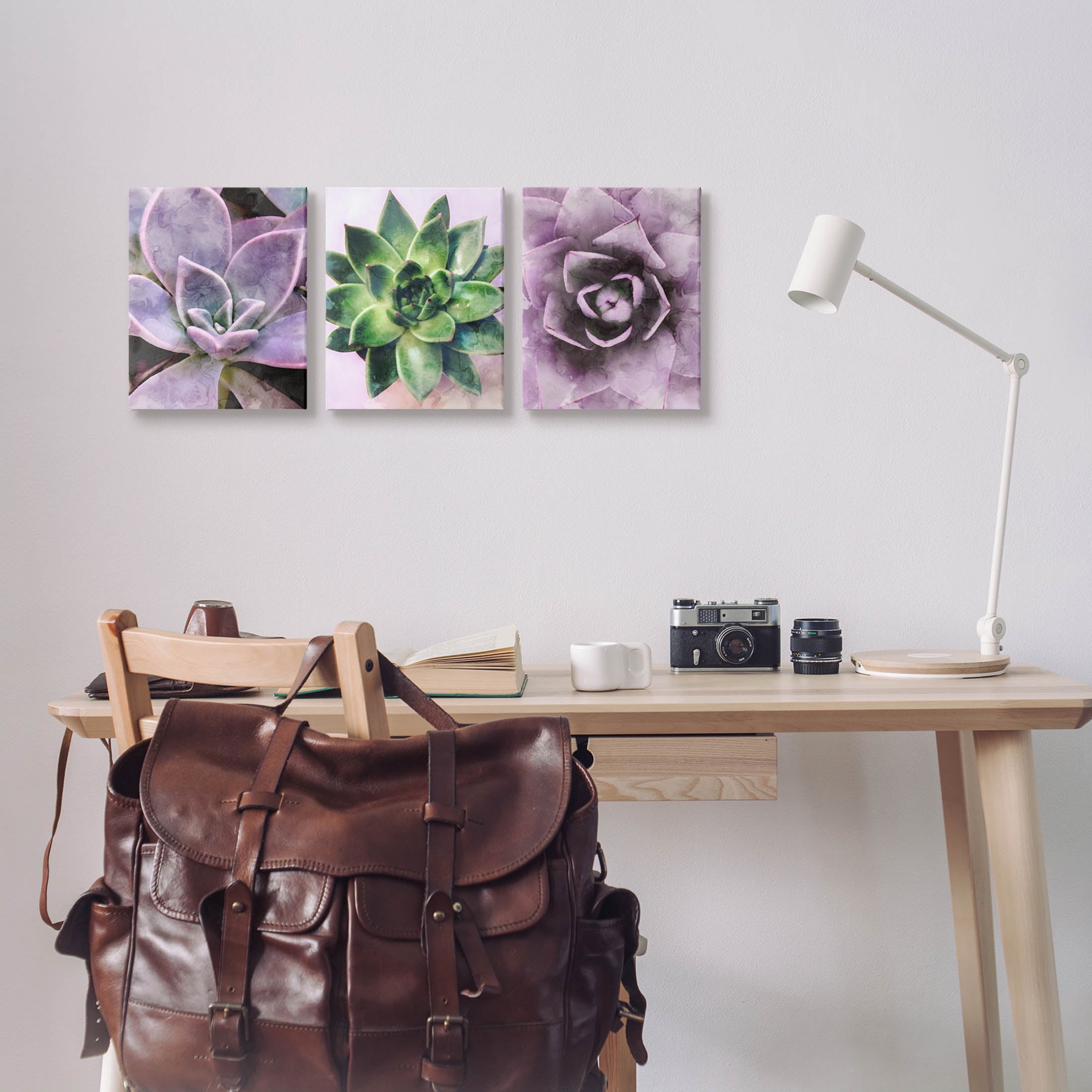 Purple Sprouting Succulents Close Up Botanical & Floral Graphic Art Gallery Wrapped Canvas Print Wall Art, Set of 3