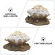 thumbnail image 3 of unbranded 1Ud De Concha Para Acuario En Resina Con De, 3 of 8