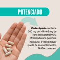thumbnail image 4 of Restart NAD+ Ultra 30 Cápsulas | 300 mg Nicotinamida Ribosa + 65 mg Trans-Resveratrol 99% | Potencia 3X | Suplemento Vegano de Alta Pureza | Sin Aditivos | Hecho bajo Certificación GMP, 4 of 7