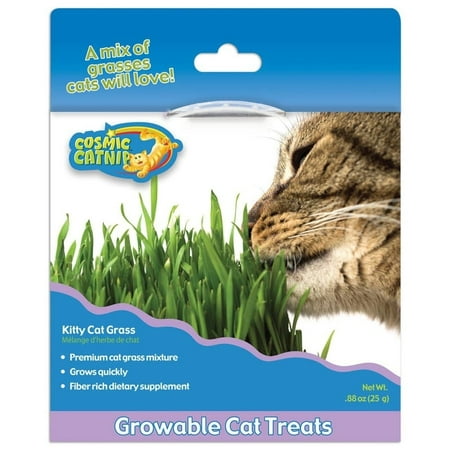 Ourpets Company-Cosmic Catnip Kitty Cat Grass- Grasses