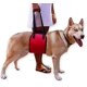 thumbnail image 4 of Arnés Dog Support Dog Lift Support S. Afortunado Sencillez, 4 of 4