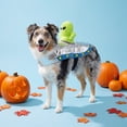 thumbnail image 2 of Vibrant Life Halloween Alien Costume for Dogs, Multicolor, M, 2 of 6