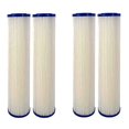 thumbnail image 1 of CFS COMPLETE FILTRATION SERVICES EST.2006 Replacement 0.35 Sub-micron Post-Filter for Whole House Water Filter Systems, 1 of 1