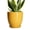 Glossy-Yellow, variant on Ordivic 8 Inch White Ribbed Ceramic Plant Pot with Saucer, Round Planter with Drainage Hole, Modern Glossy Indoor Outdoor Flower Pot for Houseplants, Succulents, Ferns, Monstera Decor