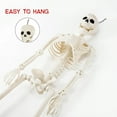 thumbnail image 4 of 36" Halloween Posable Skeleton Decorations, 3FT Realistic Plastic Human Full Body Bones with Movable Joints Skeleton for Haunted House Graveyard Props Indoor Outdoor Halloween Party Supplies, 4 of 8