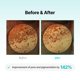 thumbnail image 5 of Crema hidratante Porethera Real Bifida Blur Cream 50 ml para piel grasa, 5 of 8