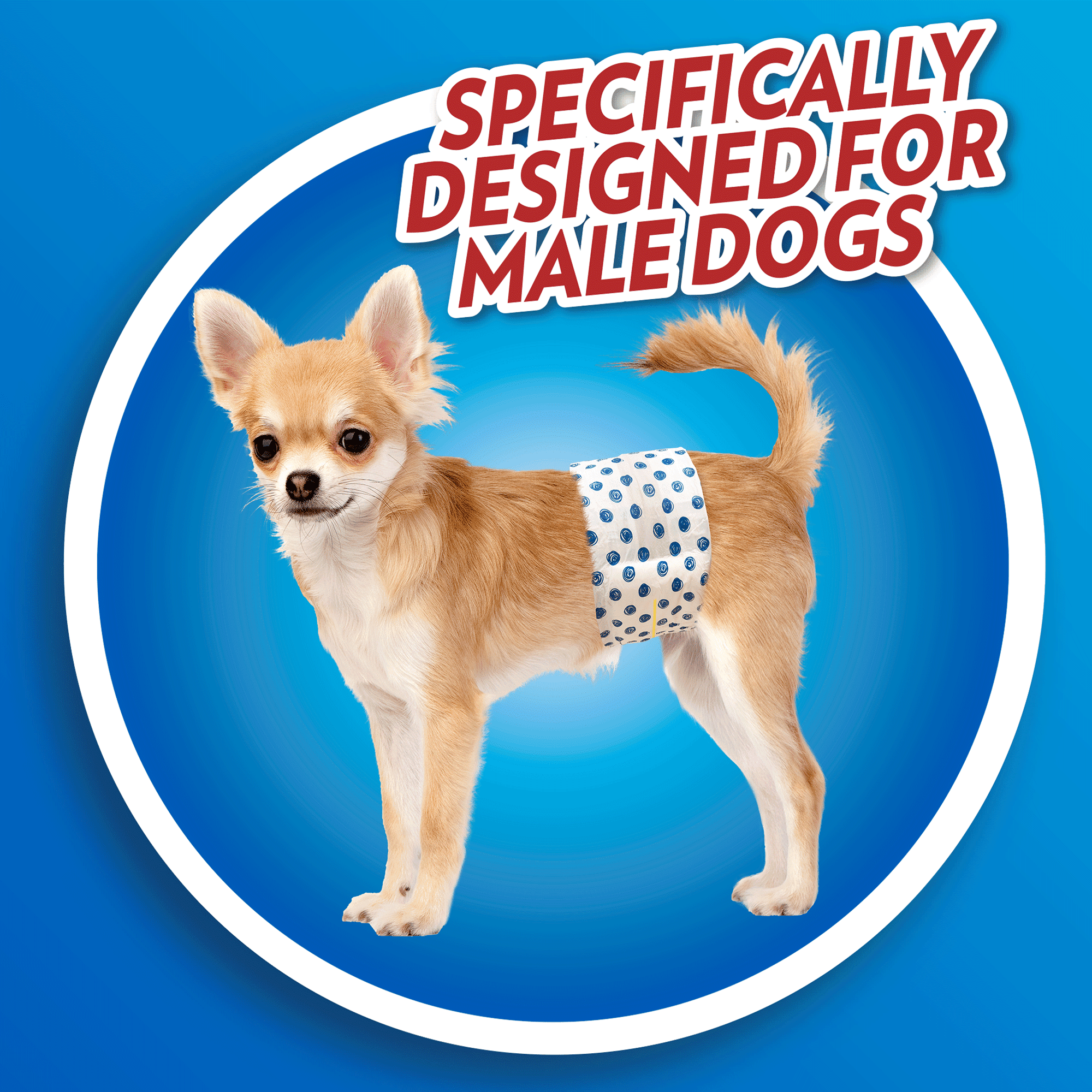 male dog diapers near me