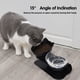 thumbnail image 2 of Tazón de comida para gatos Alimentación de mascotas Tazón básico inclinado 15° Desmontable, 2 of 8