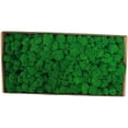 thumbnail image 2 of Decoración de pared de musgo preservado Musgo preservado real No requiere mantenimiento Musgo preservado naturalmente para festivales de fiesta en la pared del hogar, 2 of 8