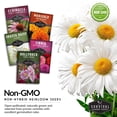 thumbnail image 3 of 5 Flower Seed Collection - Hollyhock, Daisy, Purple Coneflower, Marigold, Zinnia - Annual Full Sun, 3 of 6