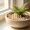 Beige, variant on Flovellvoe Wooden Fence Decorative Log Picket Garden Border for Flower Pots planters Yard Decor Mini Wood Fence Edging for Indoor Balcony Box Outdoor Garden Styling Gift for Garden Lover 1 Pack