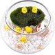 thumbnail image 5 of 40 figuras de animales en miniatura, figuras en miniatura de conejo de Pascua, figuras de pollo, gallo, gallina, huevo, adornos de nido de pollo para taza de pastel de jardín de hadas kaili Sencillez, 5 of 5