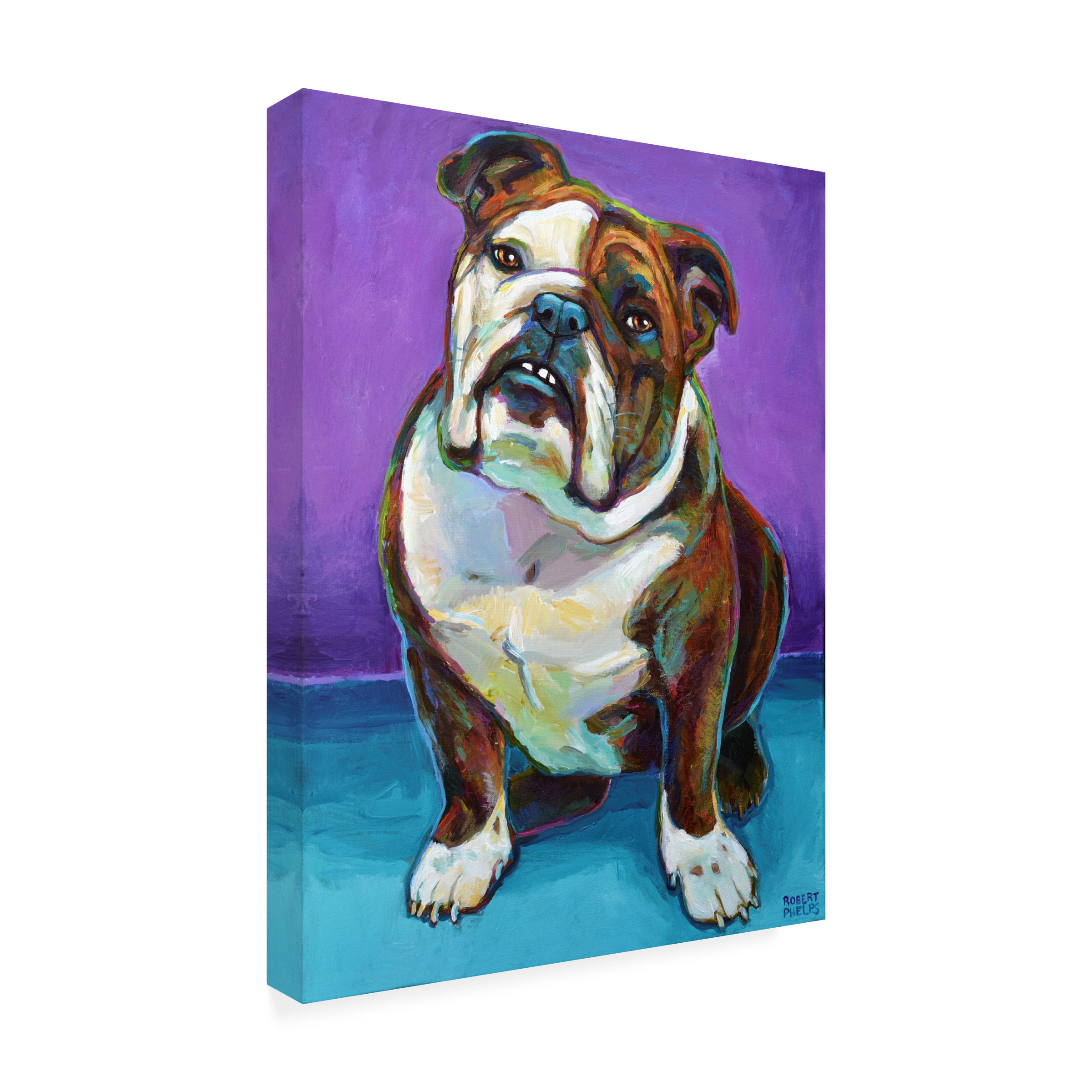 Robert Phelps Art 'Bulldog on Teal' Canvas Art