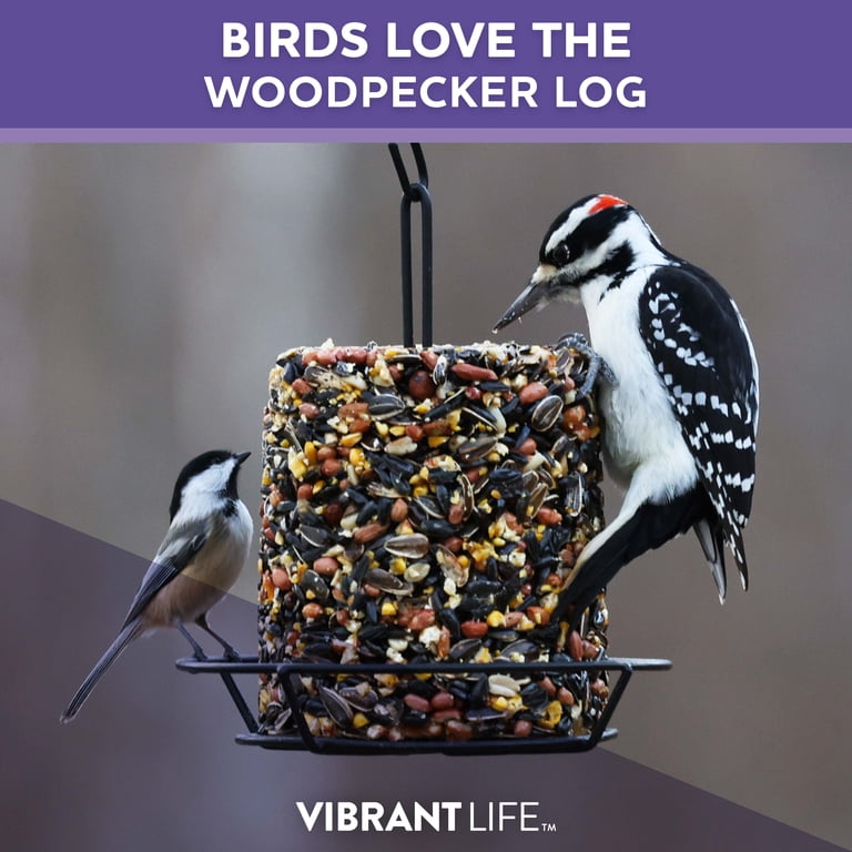 Vibrant Life Woodpecker Wild Bird Seed Log, 32 oz. - Walmart.com