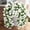 White, variant on Staron Artificial Bougainvillea Wall Hangings, Silk Flower Ceiling Decorations, Wedding Hall Wall Decor Hanging Baskets for Bedrooms Offices Events, Red