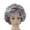 (short curly wig)Grey, variant on LQCrafK Wigs for Women Human Hair Sexy Short Curly Wig Full Wig Wig Cool Styling Wig Fashion Wig