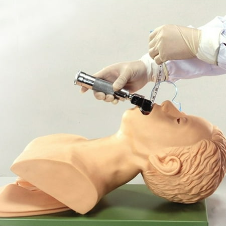 Child Airway Management Trainer PVC Intubation Manikin Study Teaching Model Airway Management Trainer Intubation Training ()