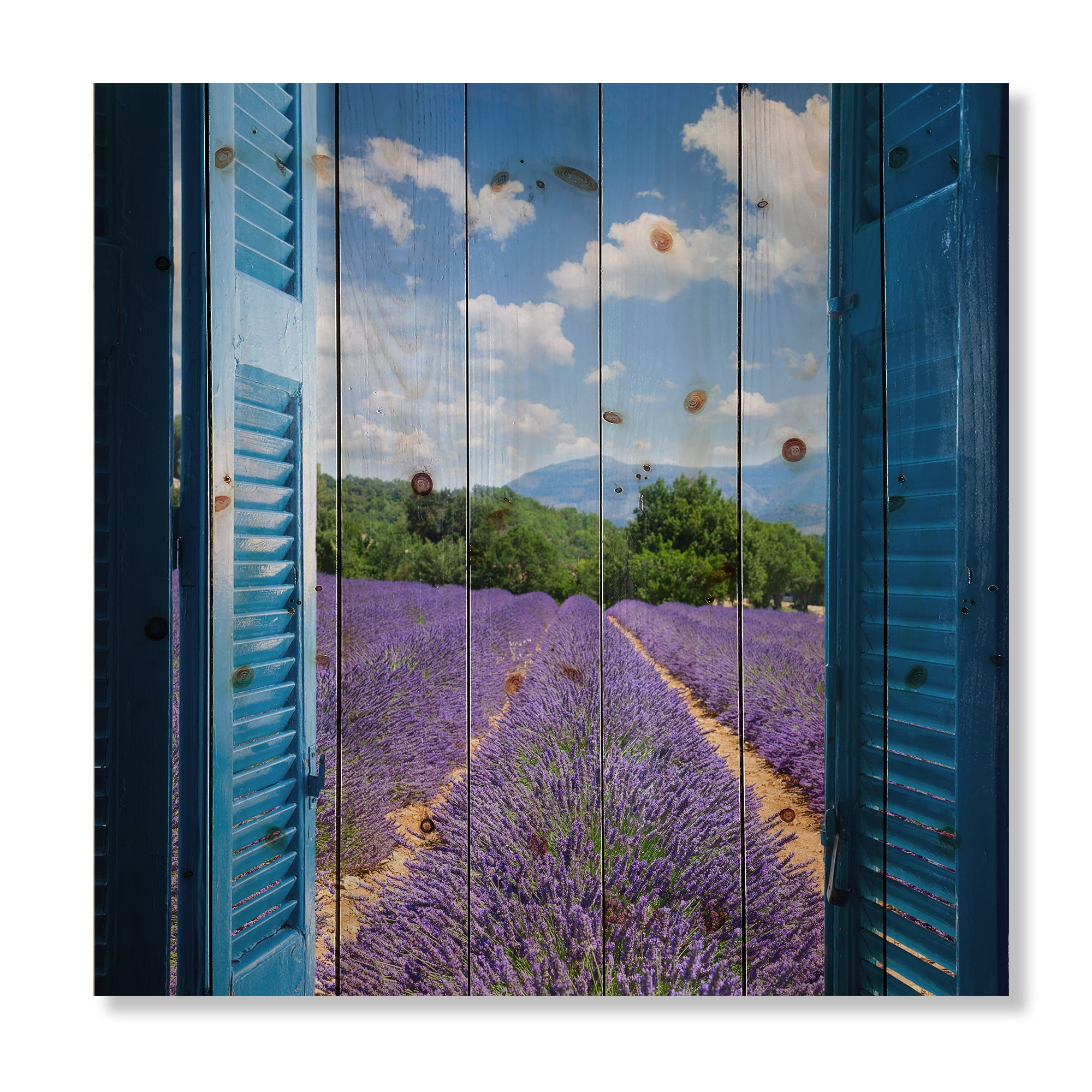 Designart 'View of Lavender Field Through Blue Open Cottage Window' Farmhouse Print on Natural Pine Wood