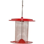Birds Choice 9.5" Color Pop Collection Sunflower Seed Bird Feeder, Red and Coral