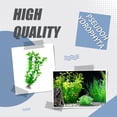 thumbnail image 3 of Greeniant Acuario subacuático Planta artificial Algas marinas decorativas Agua acuática Hierbas Paisajismo Ornamento de visualización 25 cm decoración del acuario Verde Greeniant PT004855-01, 3 of 6