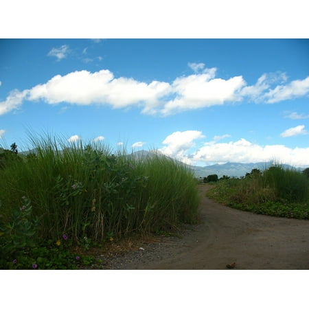 - Laminated Poster Cloud Long Road Landscape Mountain Sky Grass Poster Print 11 x 17