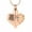 Rose Gold, variant on Heart Urn Necklace for Ashes Women Men Cremation Jewelry for Ashes Cremation Necklace In Memory of Grandpa Grandma Dad Mom Uncle Aunt Brother Sister Daughter Son