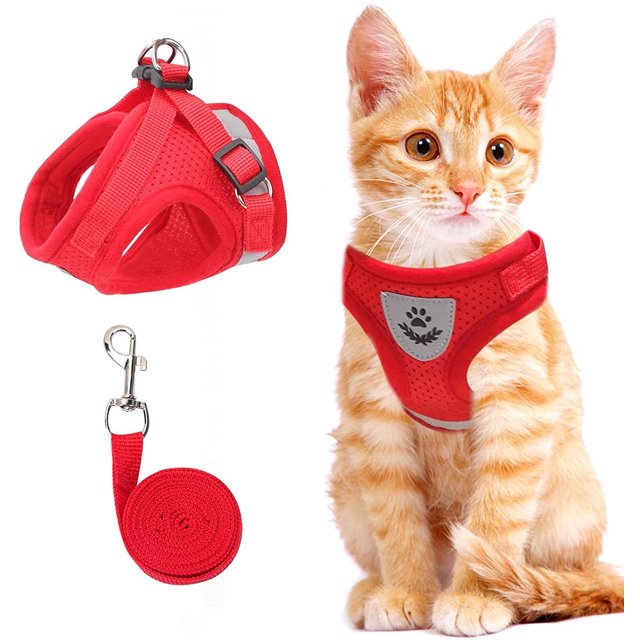 GFDYREE Cat Vest Harness and Small Dog Vest Harness for Walking, All Weather Mesh Harness, Cat Vest Harness with Reflective Strap, Step in Adjustable Harness for Small Cats (Red, S)