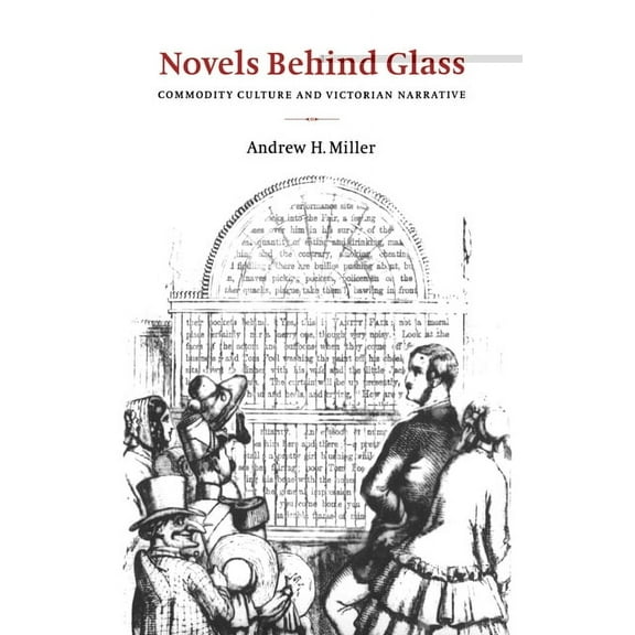 Literature, Culture, Theory Novels Behind Glass: Commodity Culture and Victorian Narrative, Book 17, (Hardcover)