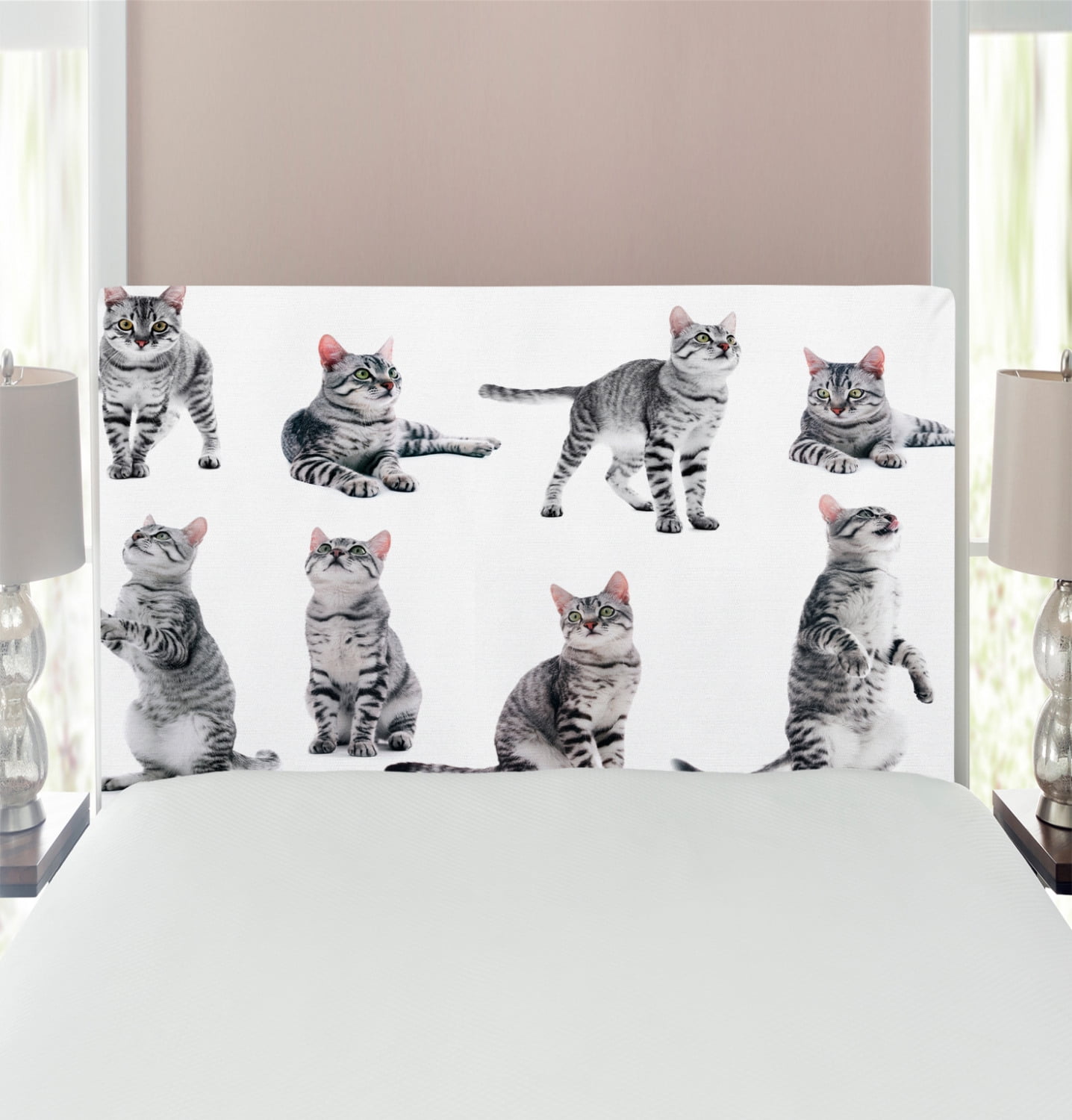 Cat Headboard, Collage of a Inquisitive Striped Shorthair Furry Playful