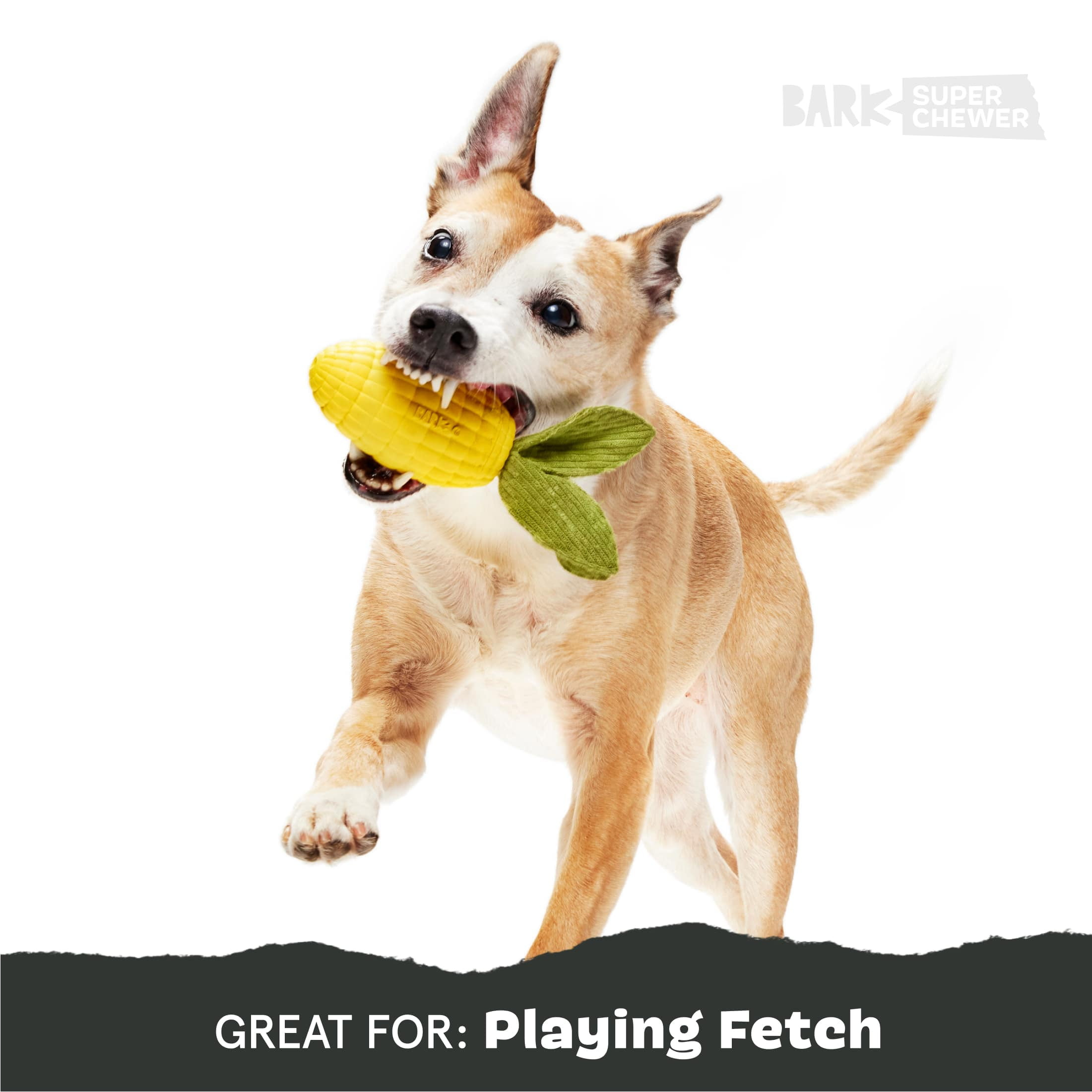 BARK Super Chewer Corn To Run Durable Rubber Vegetable Dog Toy L