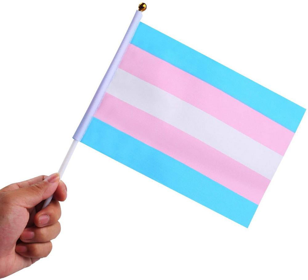 small gay flag png