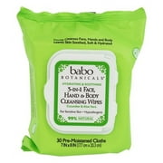 Babo Botanicals Hand And Body Cleansing Wipes - Cucumber and Aloe Vera Wipes - Case of 4 - 30 Count