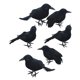 thumbnail image 1 of 6 piezas de decoración de cuervos Yuyangstore Cuervo negro Halloween, 1 of 8