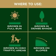 Scotts EZ Seed Patch & Repair Tall Fescue Lawns, 3.75 lbs.