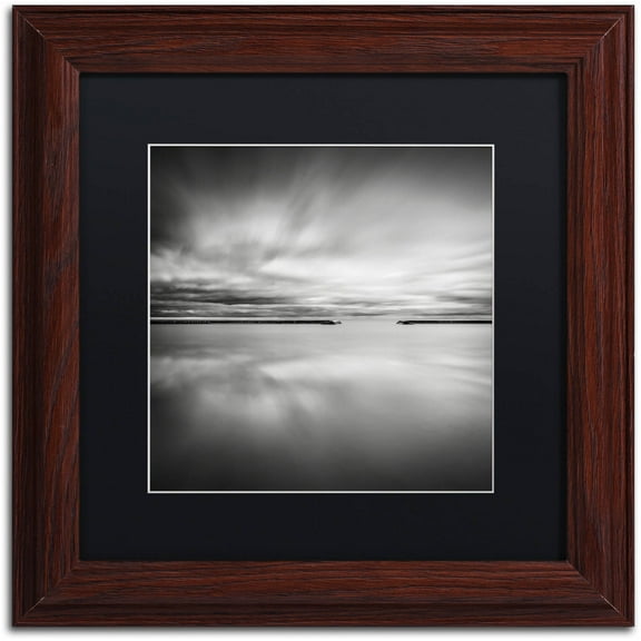 "Double Vision" Canvas Art by Dave MacVicar, Black Matte, Wood Frame