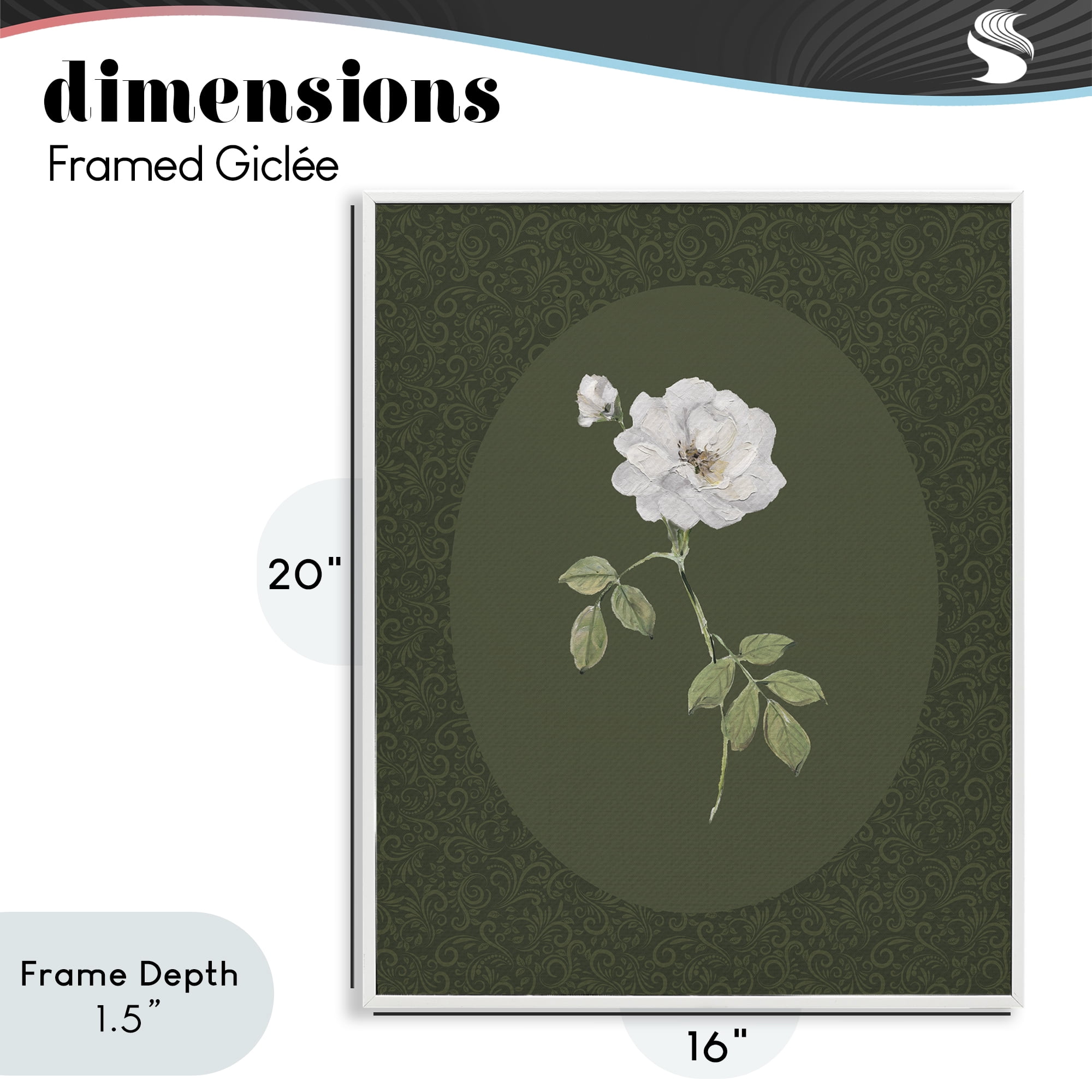 Stupell Industries White Rose on Emerald White Framed Giclee Art, design by Sally Swatland