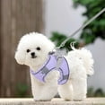 thumbnail image 2 of asddcavvf 1 PCS Dog Harness for Small Medium Large Dogs No Pull Puppy Harness and Leash Set Dog Harness for Walking Running Dog Car Seat Strap Replacement Cat Steps for Older Cats Small Puppy Sweaters, 2 of 8