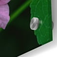 thumbnail image 3 of Epic Art 'Flower' by Epic Portfolio, Acrylic Glass Wall Art, 36"x36", 3 of 8