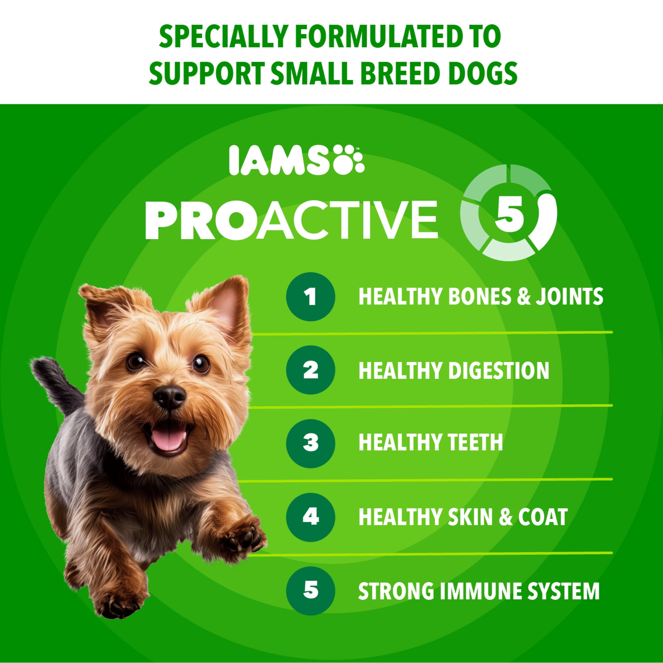 (4 pack) IAMS Proactive Health Small Breed Adult Chicken & Whole Grain Dry Dog Food 5 lb Bag