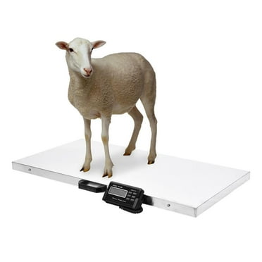 Animal Scales for Weighing 1100LBS x 0.2LBS Livestock Digital Scale,40.6 x 20.5inch Large Platform Express Shipping Scale,Stainless Steel Electronic Ultrathin Vet Scale Digital Weight Scale